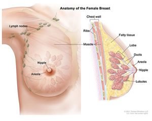 breast cancer symptoms and treatment 